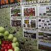 waxykcduciaynwln oawubf ahvrlpmoojom-2011 izoltquuph.JPG
